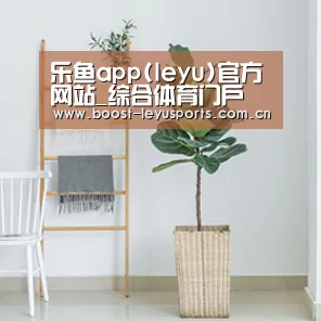 产品名称六(图1)