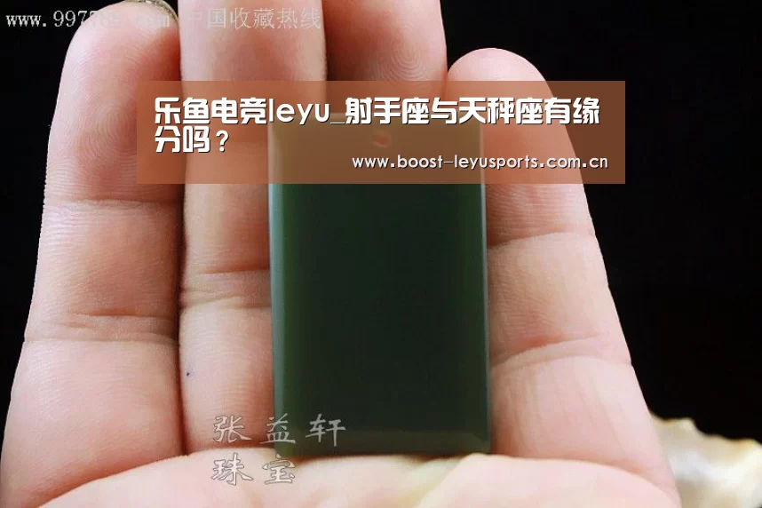 乐鱼电竞leyu