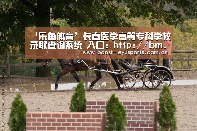乐鱼