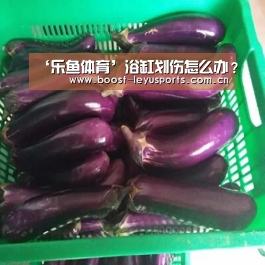 ‘乐鱼体育’浴缸划伤怎么办?(图3) ‘乐鱼体育’浴缸划伤怎么办?(图3)