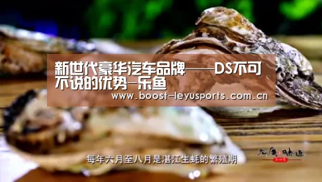 新世代豪华汽车品牌——DS不可不说的优势-乐鱼(图3) 乐鱼体育