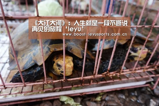 《大江大河》:人生就是一段不断说再见的旅程‘leyu’(图1) 乐鱼电竞leyu