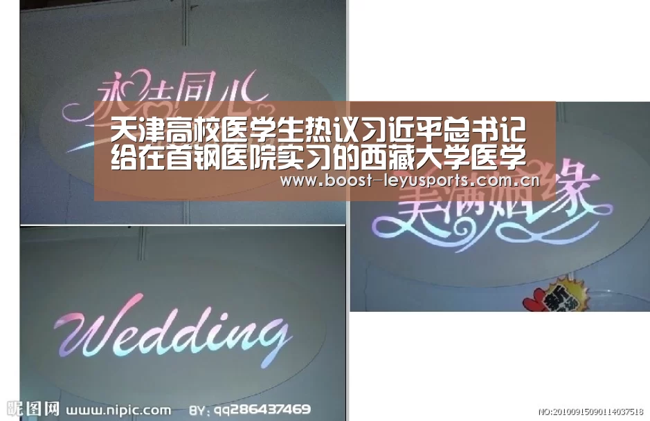 乐鱼