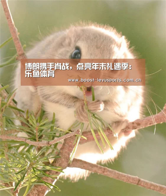 博朗携手肖战，点亮年末礼遇季：乐鱼体育(图2)