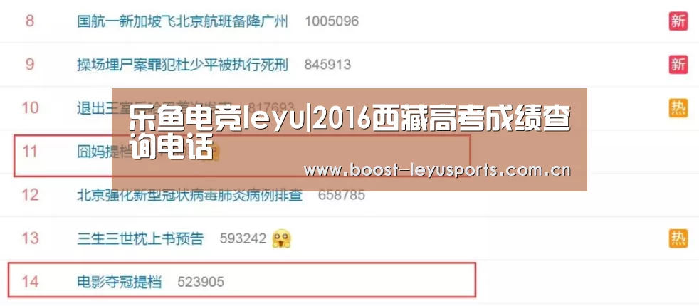 乐鱼电竞leyu|2016西藏高考成绩查询电话(图3) 乐鱼电竞leyu|2016西藏高考成绩查询电话(图3)