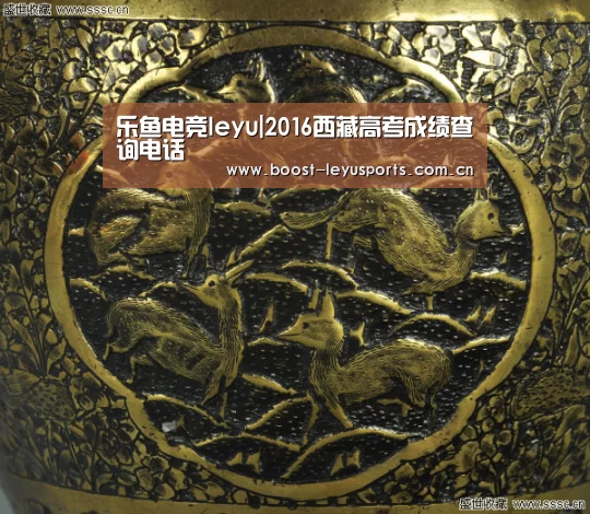 乐鱼电竞leyu|2016西藏高考成绩查询电话(图4) 乐鱼体育