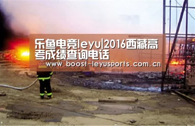 乐鱼电竞leyu|2016西藏高考成绩查询电话(图1) 乐鱼电竞leyu|2016西藏高考成绩查询电话(图1)