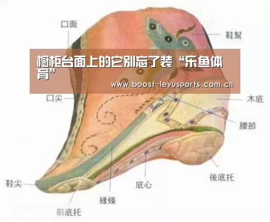 乐鱼体育
