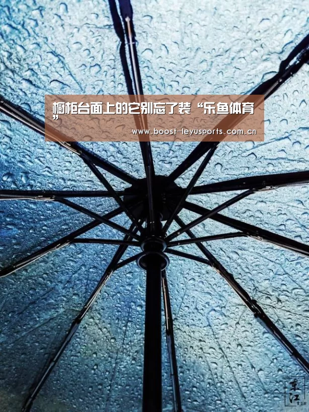橱柜台面上的它别忘了装“乐鱼体育”