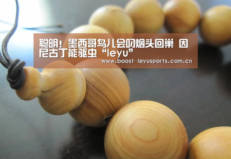 聪明!墨西哥鸟儿会叼烟头回巢 因尼古丁能驱虫“leyu”(图2) 乐鱼体育